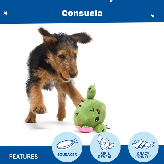 BARK Consuela The Cactus
