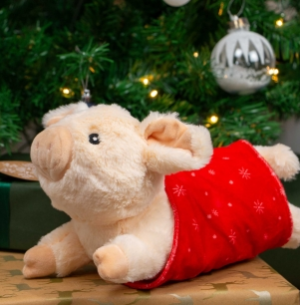 Paloma Pig In Blanket