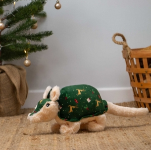 Arnold Armadillo