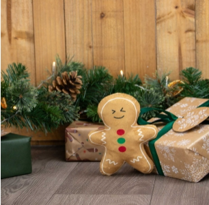 Georgie Gingerbread