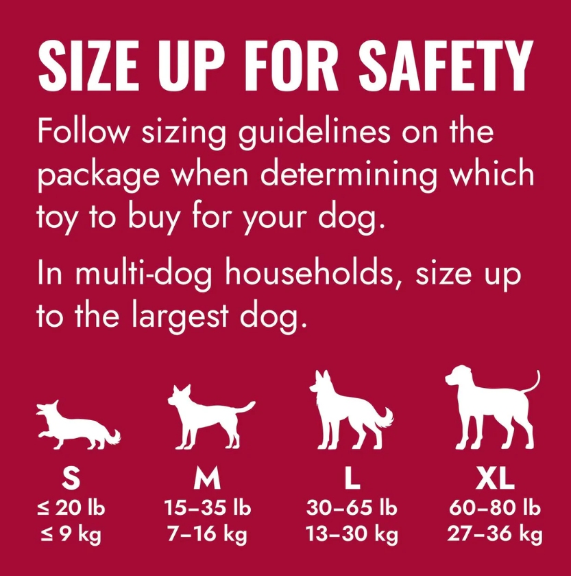 KONG Holiday Goodie Bone  Medium