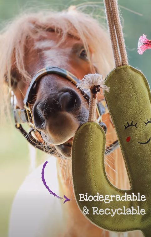 Green & Wilds Prickly Pam Eco Toy
