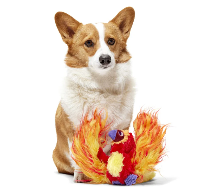 BARK Wizarding World Of Harry Potter Dog Toy Fawkes