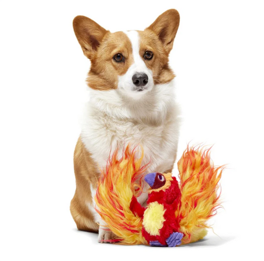 BARK Wizarding World Of Harry Potter Dog Toy Fawkes