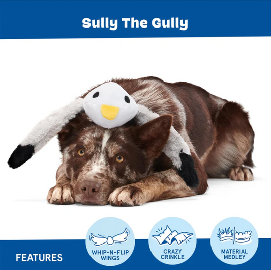BARK Sully the Gully