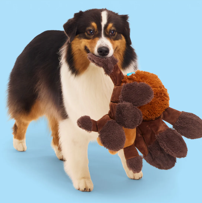 BARK Wizarding World Of Harry Potter Dog Toy Aragog