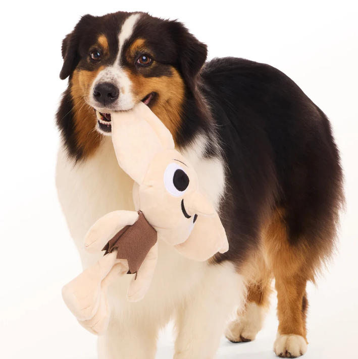 BARK Wizarding World Of Harry Potter Dog Toy Dobby