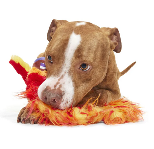 BARK Wizarding World Of Harry Potter Dog Toy Fawkes