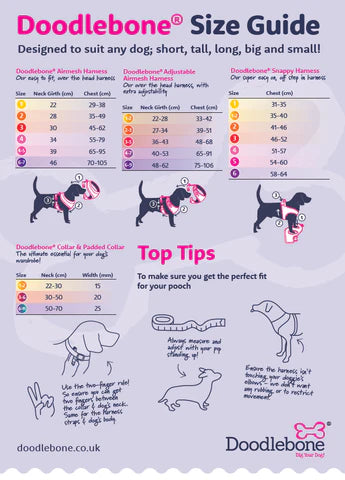 Doodlebone Airmesh XS