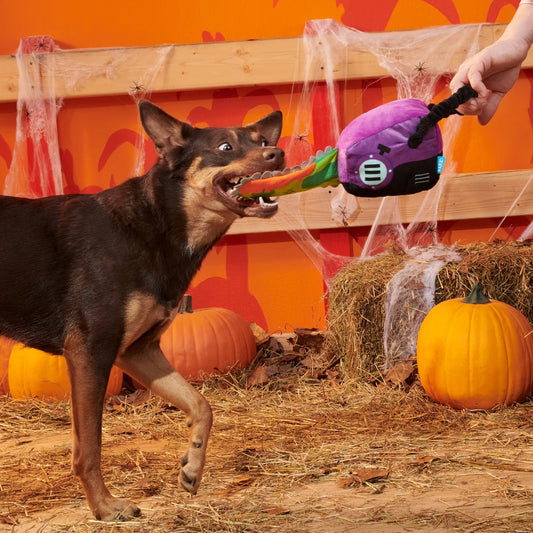 BARK Halloween Texas Chainspaw