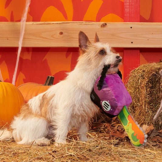 BARK Halloween Texas Chainspaw