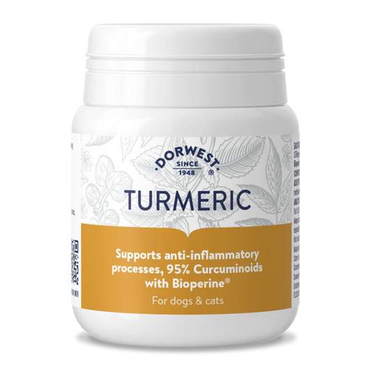 Dorwest Turmeric