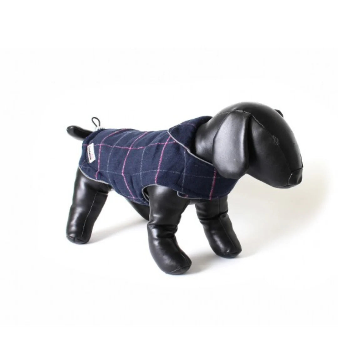 Doodlebone Tweedy Jacket Extra Large