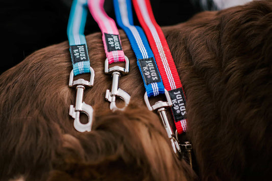 JuliusK9 IDC Webbing Lead Red 0.35m