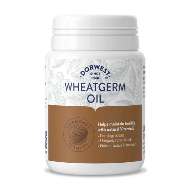 Dorwest Wheatgerm Oil 100 Caps