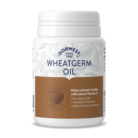 Dorwest Wheatgerm Oil 100 Caps