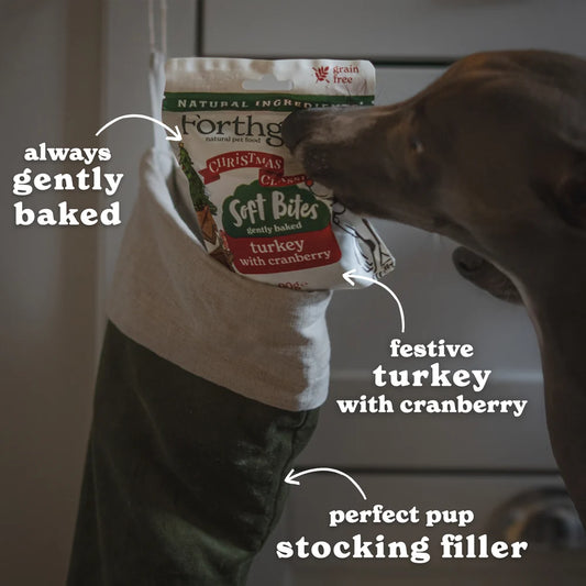 Forthglade Christmas Soft Bites Turkey With Cranberry 90g