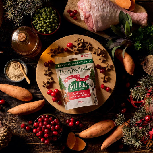 Forthglade Christmas Soft Bites Turkey With Cranberry 90g