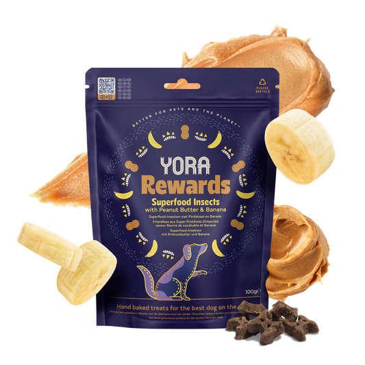 Yora Rewards