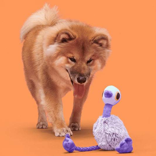 BARK Adelaide Emu