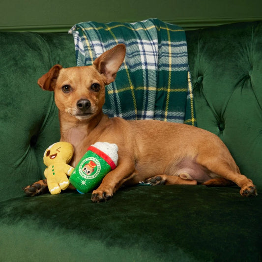 Bark Xmas Ginger Boy Brew