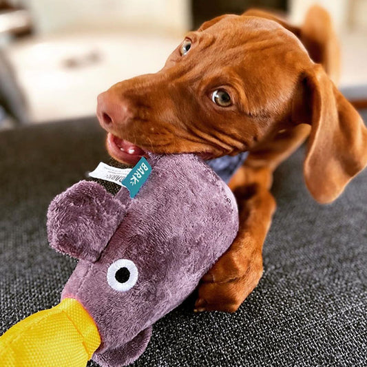 BARK Pippi Platypus