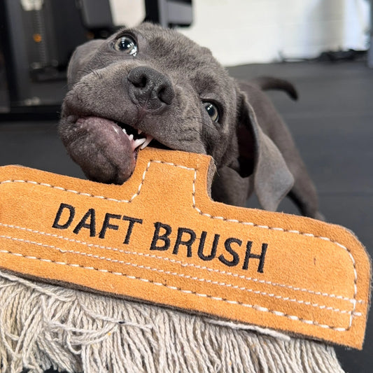 Green & Wilds Daft Brush Eco Toy