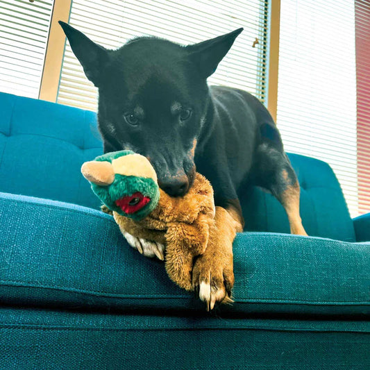 KONG Wild Low Stuff